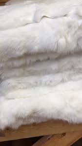 Image result for white rabbit skin texture