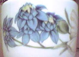 Image result for Worcester and Pershore Shukokai