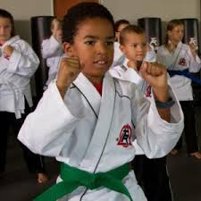 Image result for Torbay Taekwondo Schools