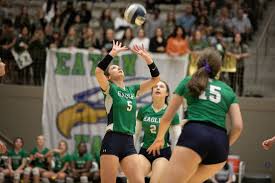 Image result for Eaton Eagles Badminton Club