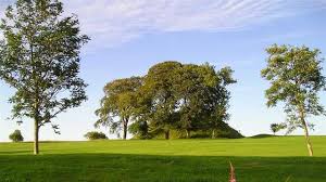 Image result for Carnwath Golf Club