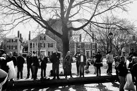 Image result for Cambridge Free Fight