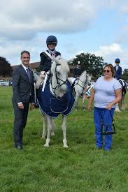 Image result for Shey Copse Riding Centre