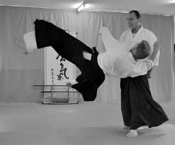 Image result for Fudokai Aikido Dojo
