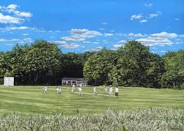 Image result for Great Chart Cricket Club