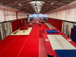 Image result for Kestrel Gymnastic Group