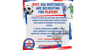 Image result for Byfleet Village Football Club