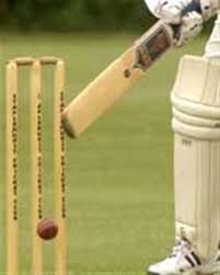 Image result for Elham Valley Cricket Club