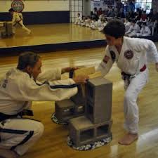 Image result for Utf Jaguar Tkd