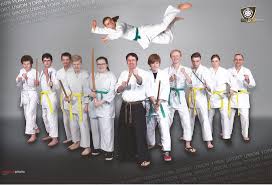Image result for York University Karate Club