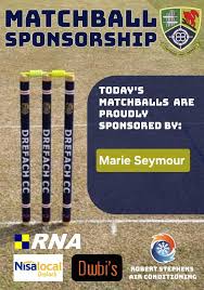 Image result for Drefach Cricket & Football Club