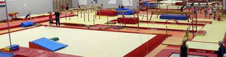 Image result for Waveney Gymnastics Club
