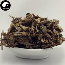 Attēlu rezultāti vaicājumam “Agrimonia pilosa”