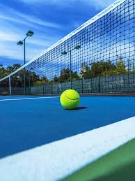 Image result for Denby Dale Tennis Club