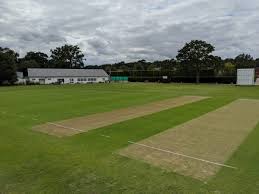 Image result for Oxshott Village Cricket Club