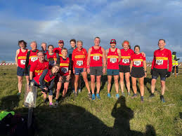 Image result for Wee County Harriers