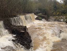 Image result for Bronwydd Cricket Club