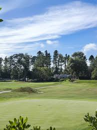 Image result for York University Golf Club
