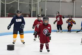 Image result for Ash Avalanche Skater Hockey Club