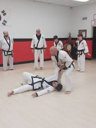 Image result for moray coast tang soo do