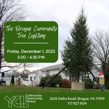 Image result for Brogue: Community Edition