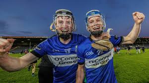 Image result for Sarsfields Hurling Club