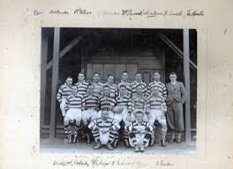 Image result for Novocastrians Rugby Football Club