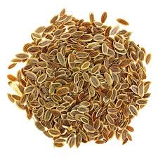 Attēlu rezultāti vaicājumam “Anethum graveolens”