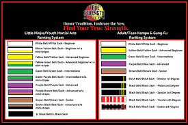 Image result for Felixstowe Judo club