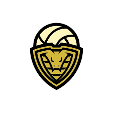 Image result for Cheltenham Cobras Volleyball Club