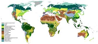 Image result for geografs sense fronteres