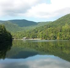 Image result for vogel