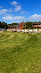 Image result for Lintz Cricket Club