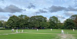 Image result for St Cross Symondians Cricket Club