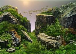 Znalezione obrazy dla zapytania takashi amano%