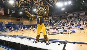 Image result for Northern Athletics Club People With Learning Disability