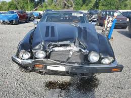 Image result for Sable Black 1982 Jaguar