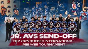 Image result for Ash Avalanche Skater Hockey Club