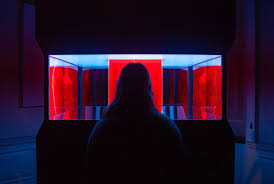 Image result for Dunham Massey Angling Club