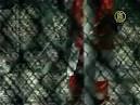 Both sides give summations in NYC terror trial - Worldnews.