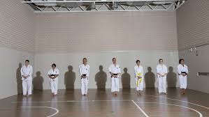 Image result for Bournemouth Shorinji Kempo Club
