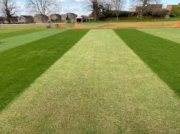 Image result for Wellingborough Town Cc