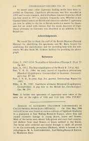 Attēlu rezultāti vaicājumam “Harminius undulatus”