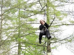 Image result for Go Ape! Whinlatter
