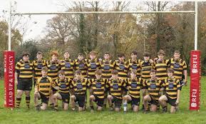 Image result for Ely Rugby Union Football Club