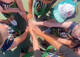 Image result for Wombles Netball Club