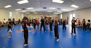 Image result for Elite Force Martial Arts