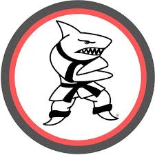 Image result for Action Karate