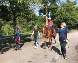 Image result for Riding For The Disabled Association