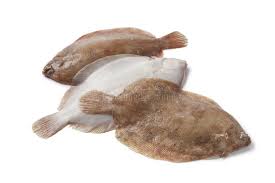 Image result for Microstomus kitt